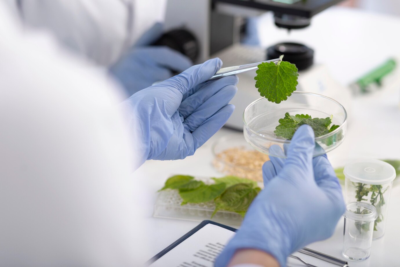 DBT- Call for Proposals for Establishment of Bioinformatics & Computational Biology Centers Under BIO-GRID in the programme Area BTIS-Network