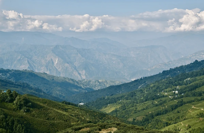 DBT- Call for Proposals under “Himalayan Bio-resource Mission Programme of North Eastern Region”