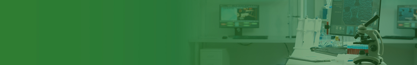 Research Banner